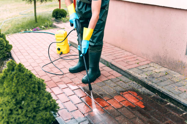 Best Affordable Pressure Washing  in Campbellsburg, KY