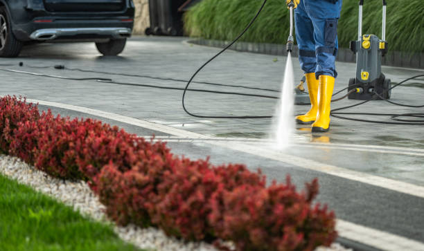 Best Best Pressure Washing Companies  in Campbellsburg, KY