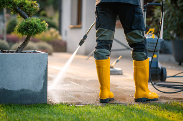 Best Pressure Washing Company Near Me  in Campbellsburg, KY